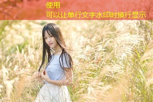 上海的传统节庆与现代庆祝方式